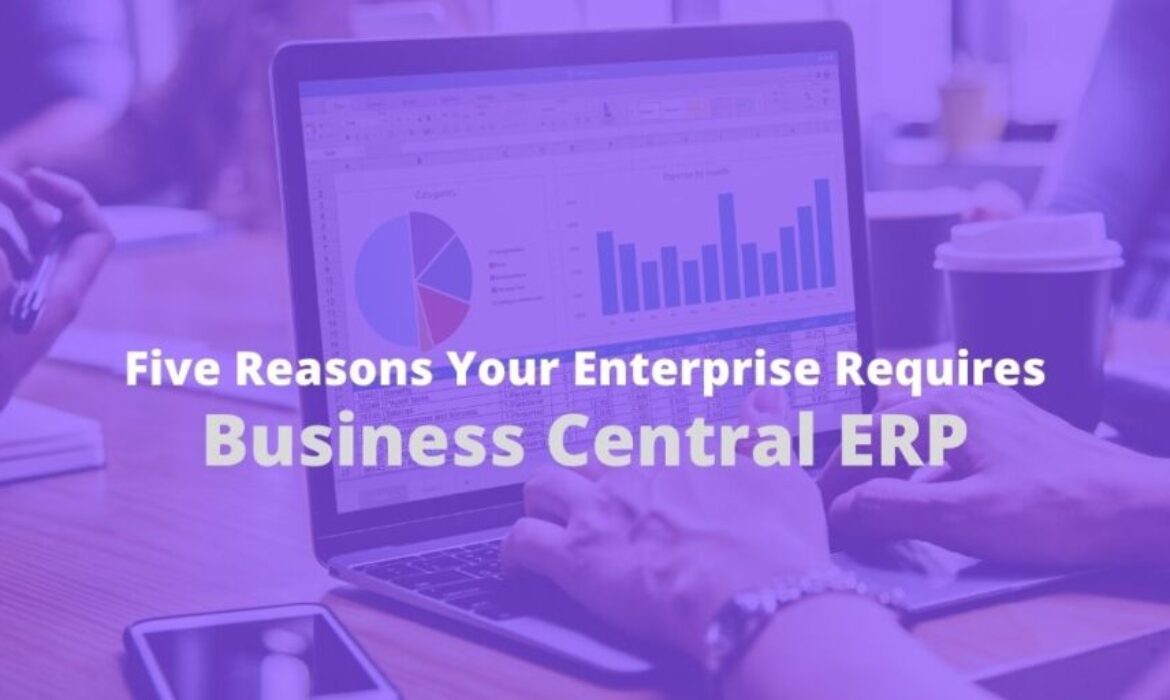 Business Central ERP